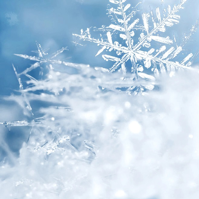 暴雨大暴雪酝酿!今年最强雨雪启动在即，冰雪形势和往年不同 #寒潮 #气象 #科学