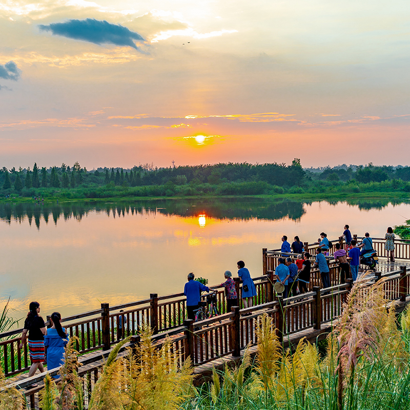 去平潭追“蓝眼泪”，去义乌体验进货游！县域游、反向游因何而火，能否持续