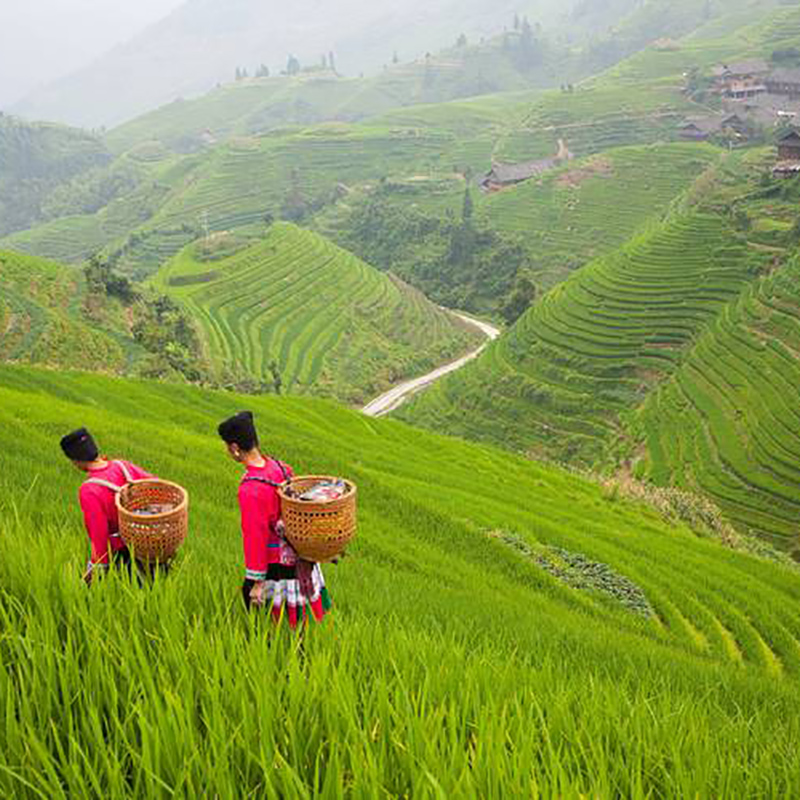 当端午“撞上”高考，“不贵不挤”成出游新选择
