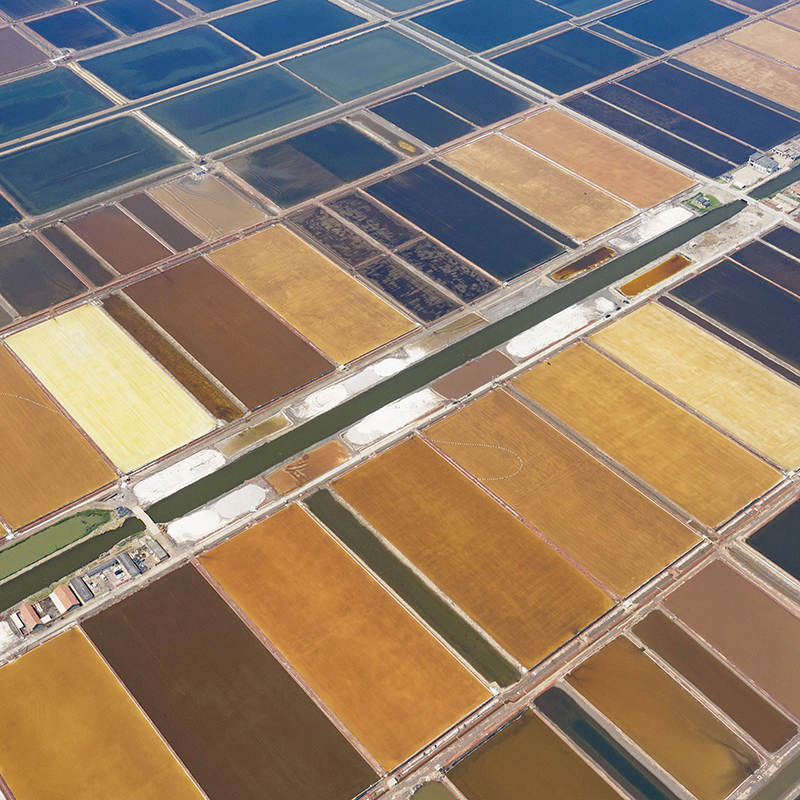 亚洲最大盐场35万亩“七彩盐田”扮靓渤海湾畔