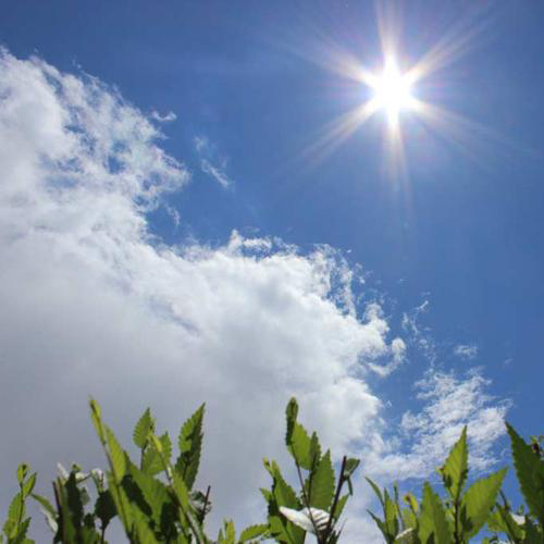 南京持续高温，意外“烤”出一片水晶天